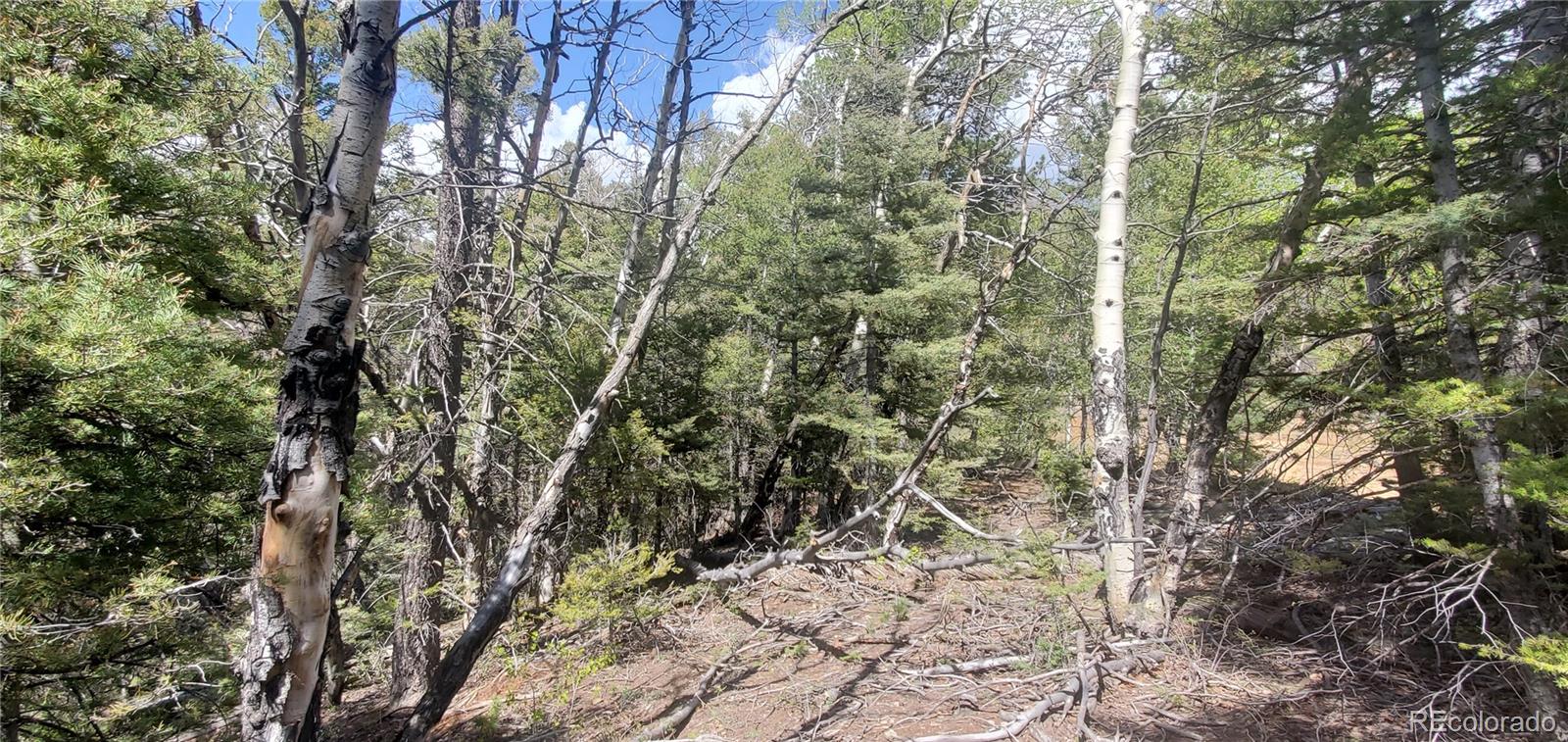 Lot 5610 Dawson Road Fort Garland CO 81133