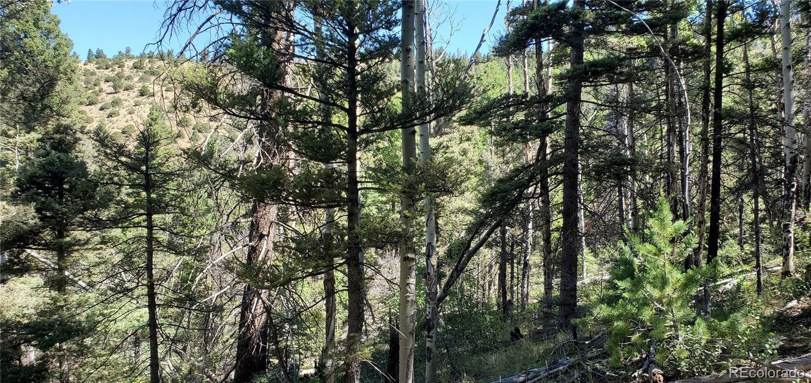 Lot 5610 Dawson Road Fort Garland CO 81133