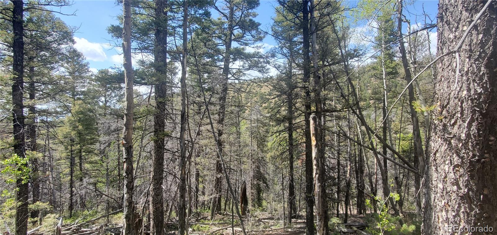 Lot 5610 Dawson Road Fort Garland CO 81133