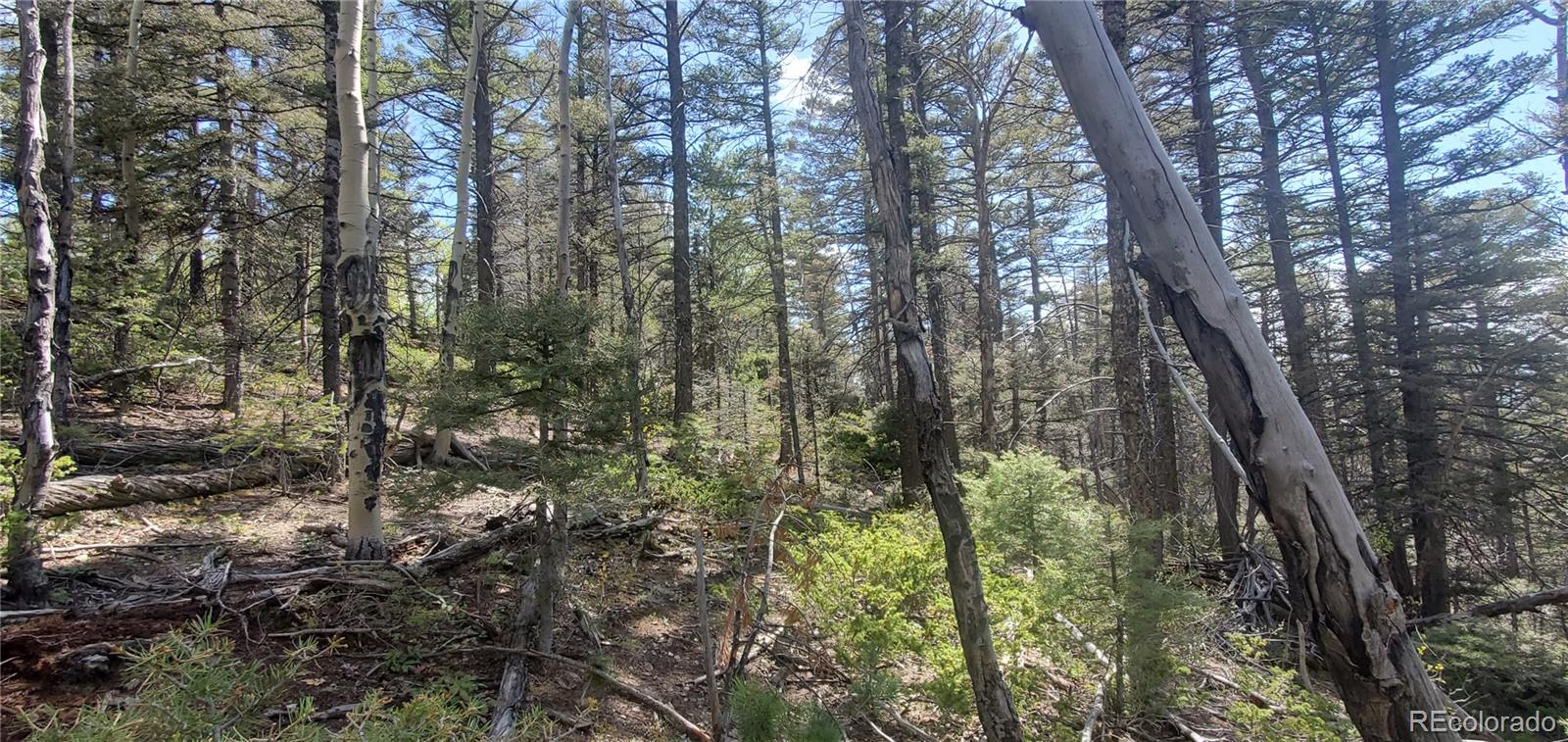 Lot 5610 Dawson Road Fort Garland CO 81133