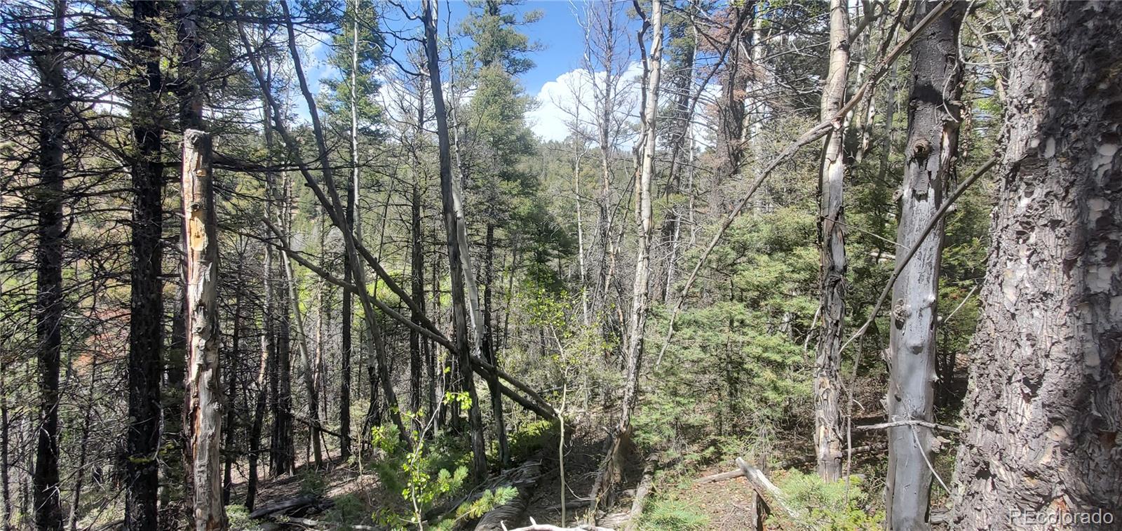 Lot 5610 Dawson Road Fort Garland CO 81133