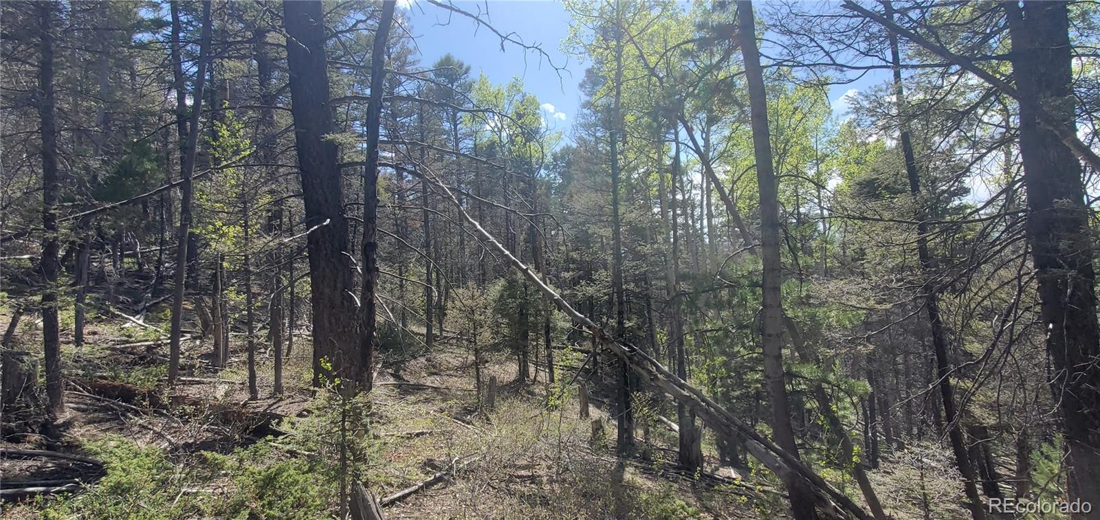 Lot 5610 Dawson Road Fort Garland CO 81133