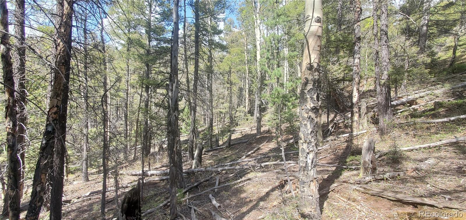Lot 5610 Dawson Road Fort Garland CO 81133