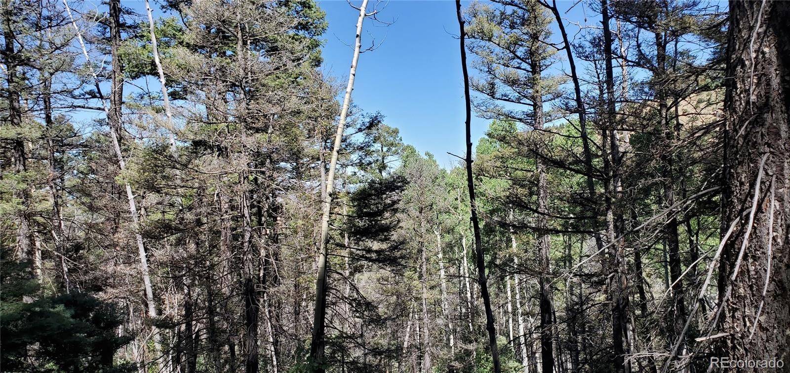 Lot 5610 Dawson Road Fort Garland CO 81133