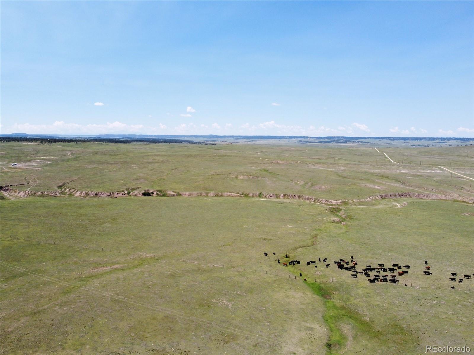 3 County Road 77 Calhan CO 80808