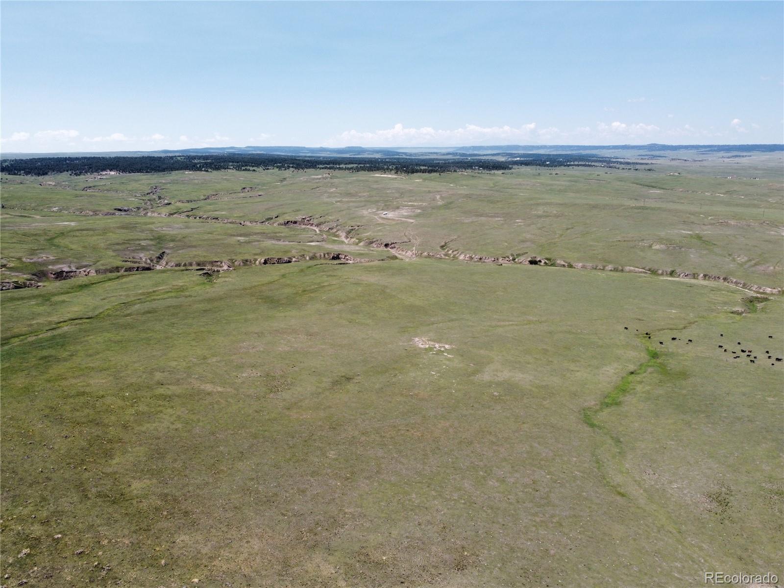 3 County Road 77 Calhan CO 80808