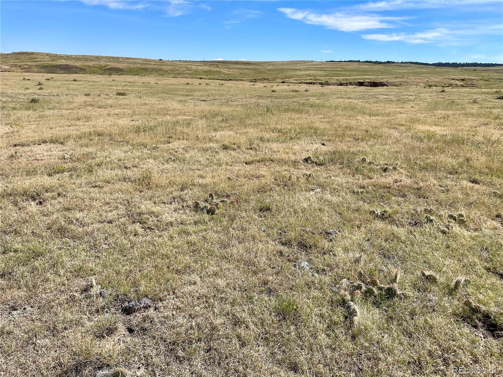 3 County Road 77 Calhan CO 80808