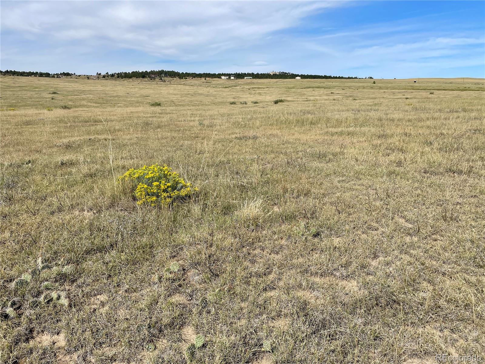 3 County Road 77 Calhan CO 80808