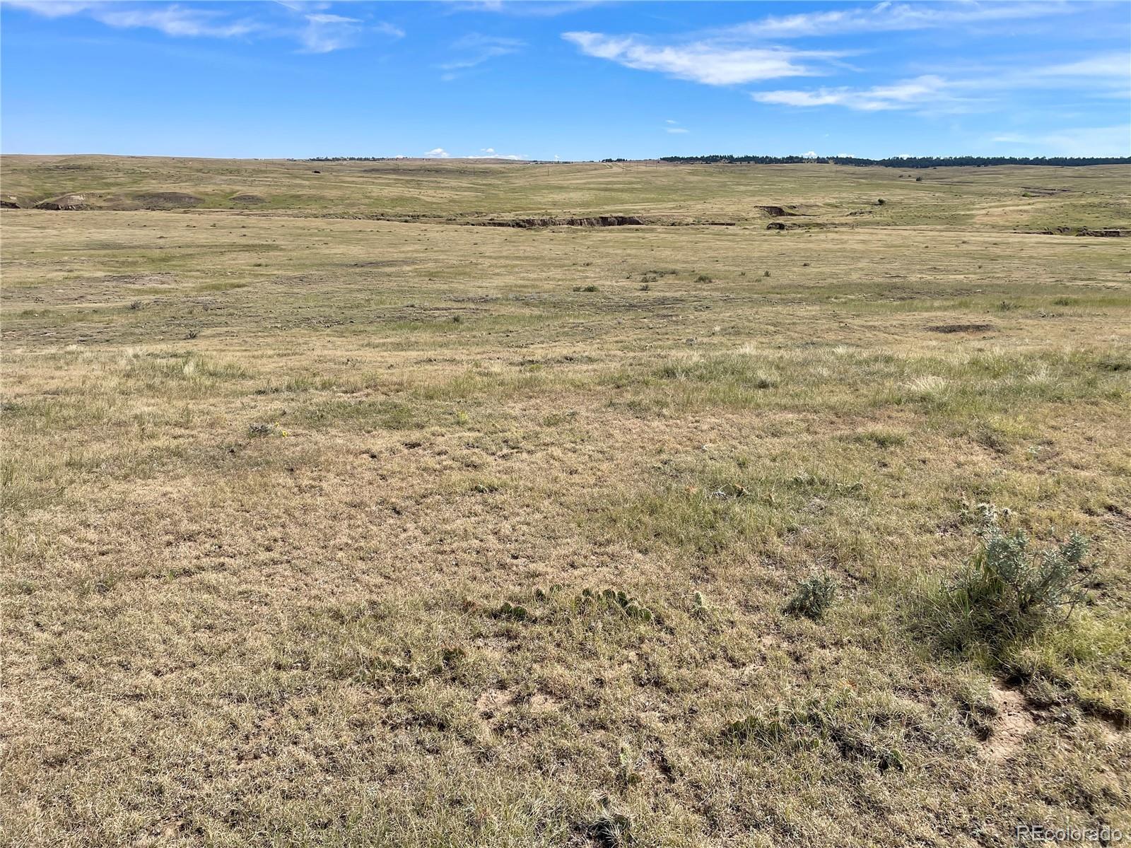 3 County Road 77 Calhan CO 80808