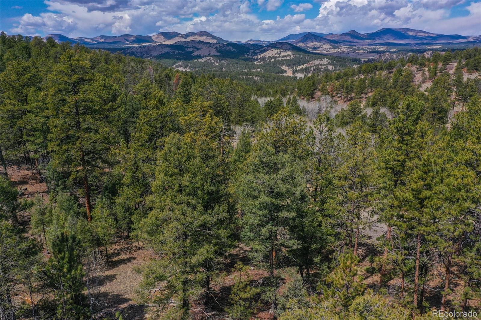 487 Pike View Lane Florissant CO 80816