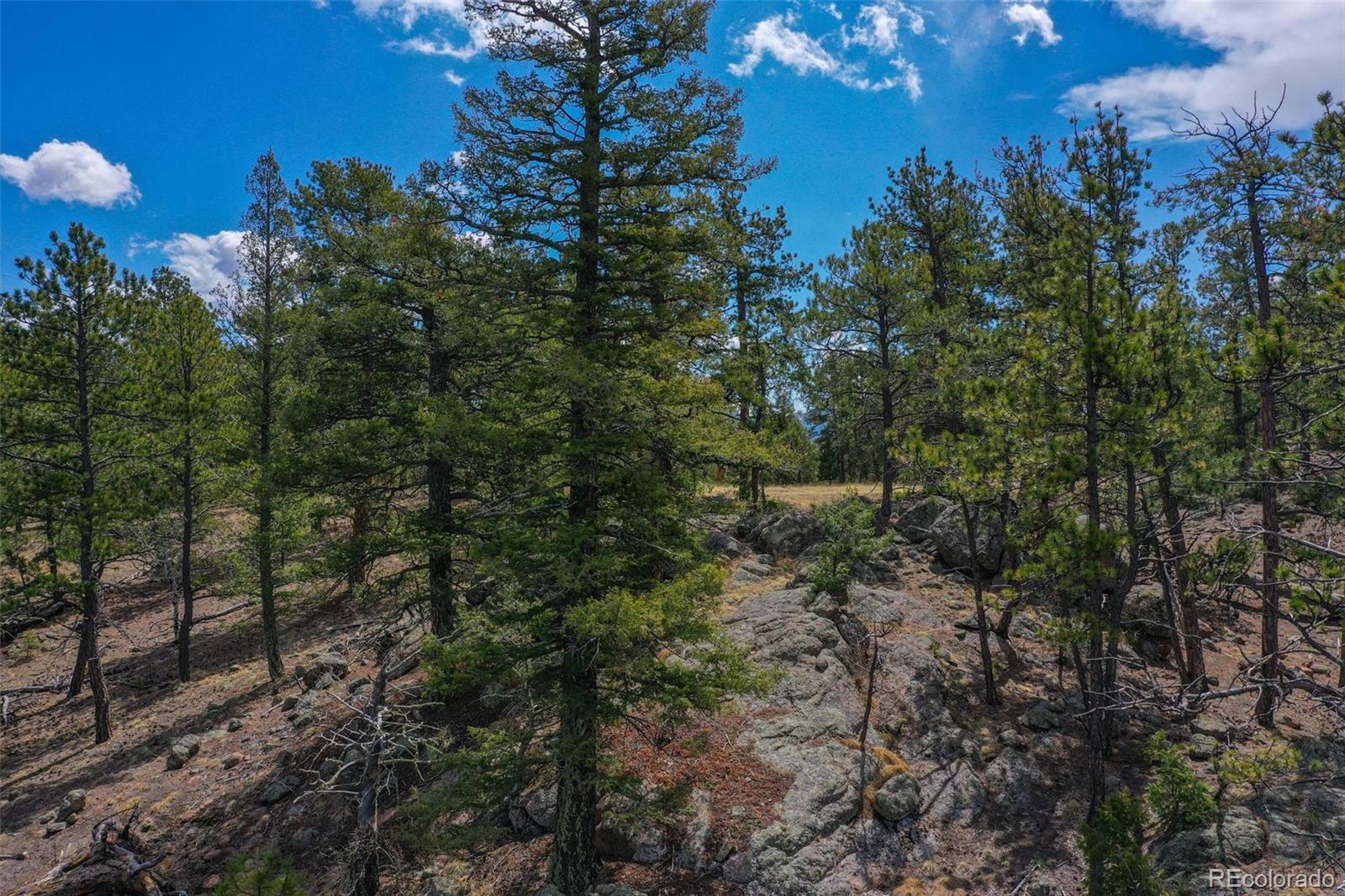 487 Pike View Lane Florissant CO 80816