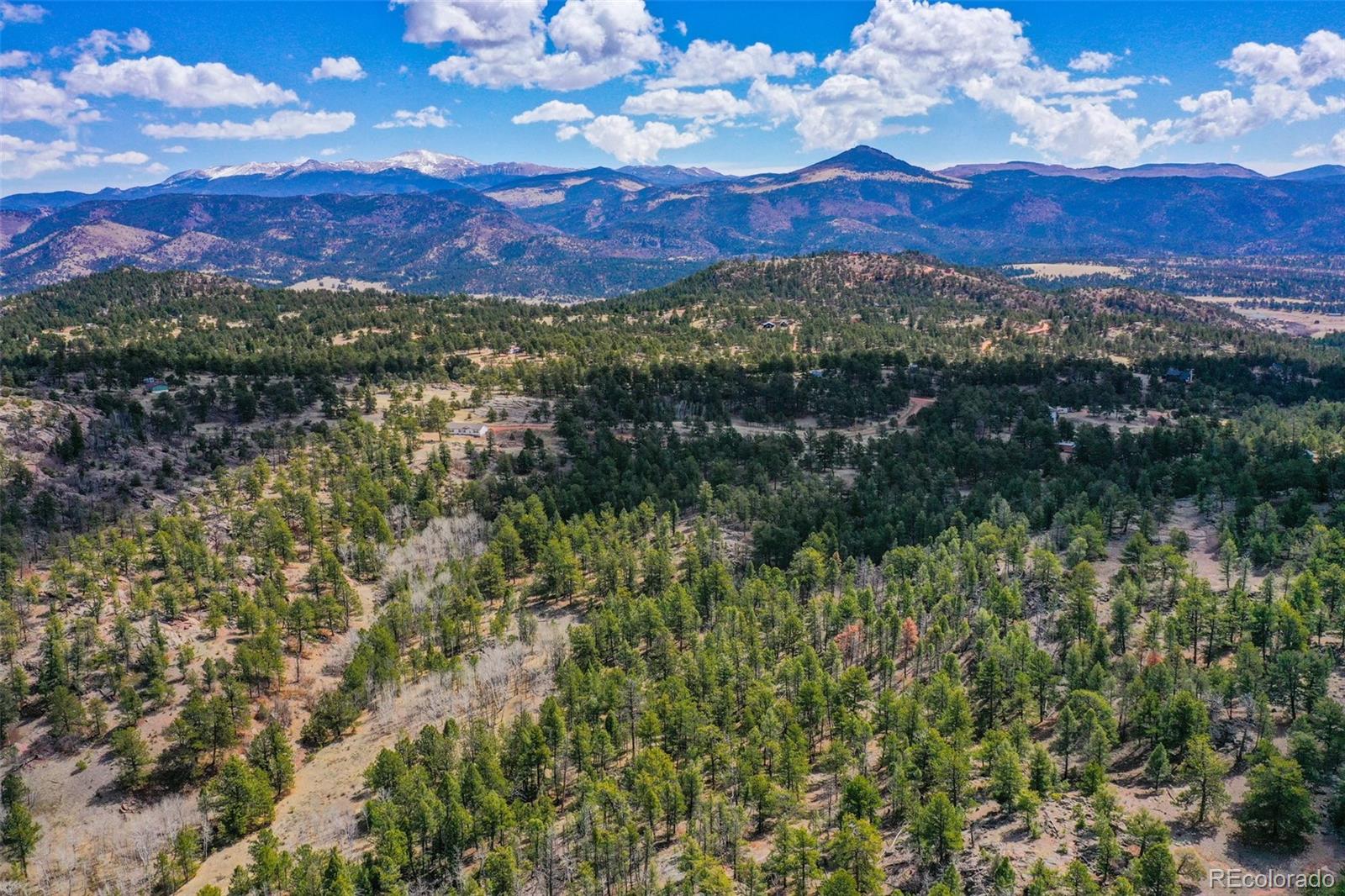 487 Pike View Lane Florissant CO 80816