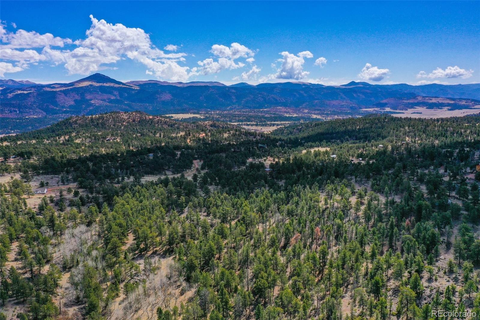487 Pike View Lane Florissant CO 80816