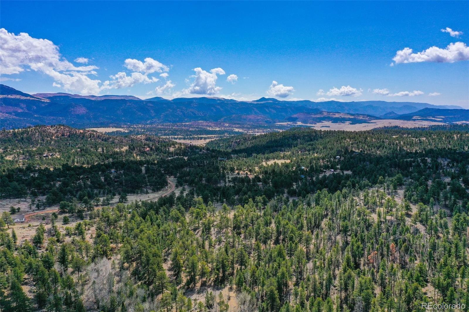 487 Pike View Lane Florissant CO 80816
