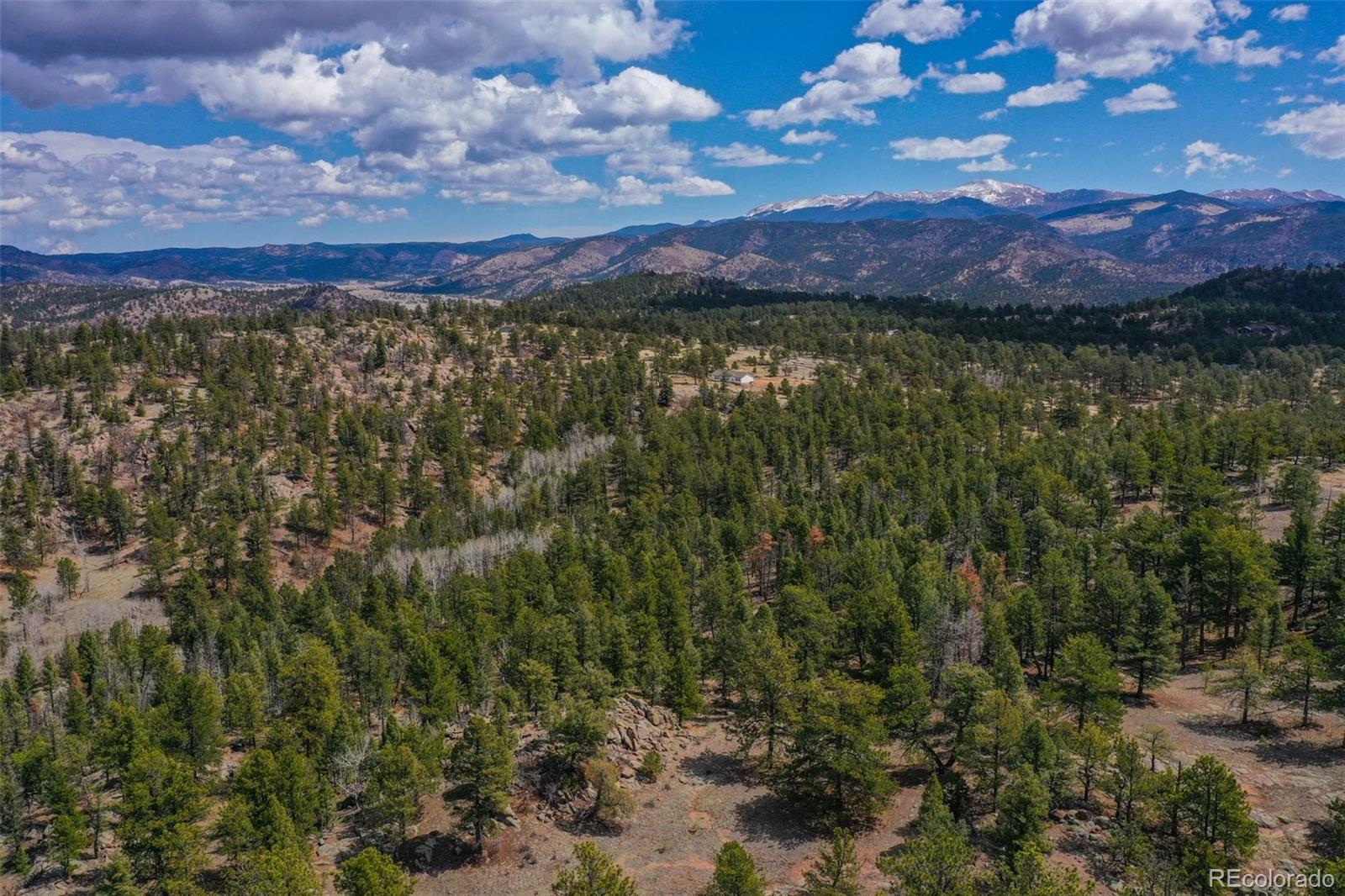 487 Pike View Lane Florissant CO 80816