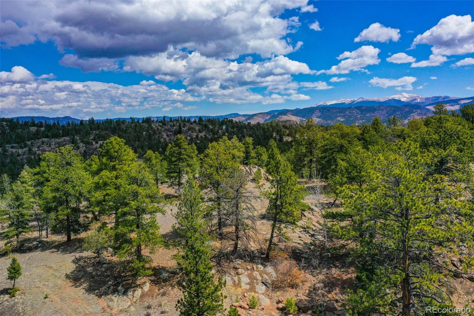 487 Pike View Lane Florissant CO 80816