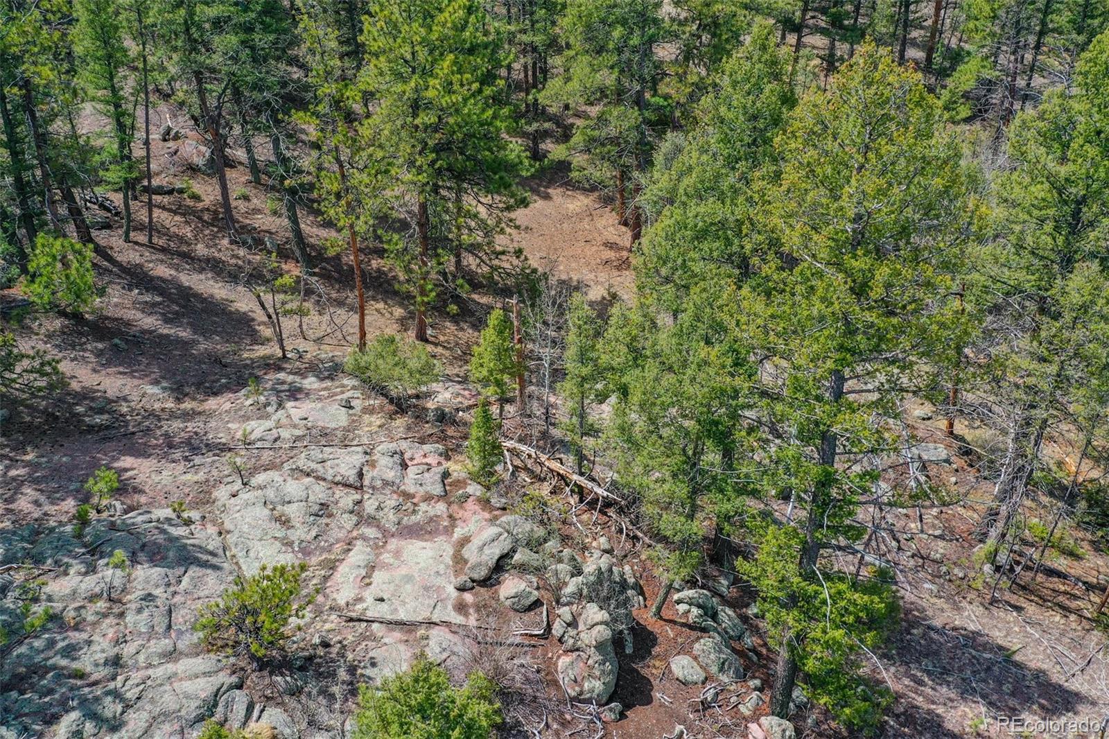487 Pike View Lane Florissant CO 80816