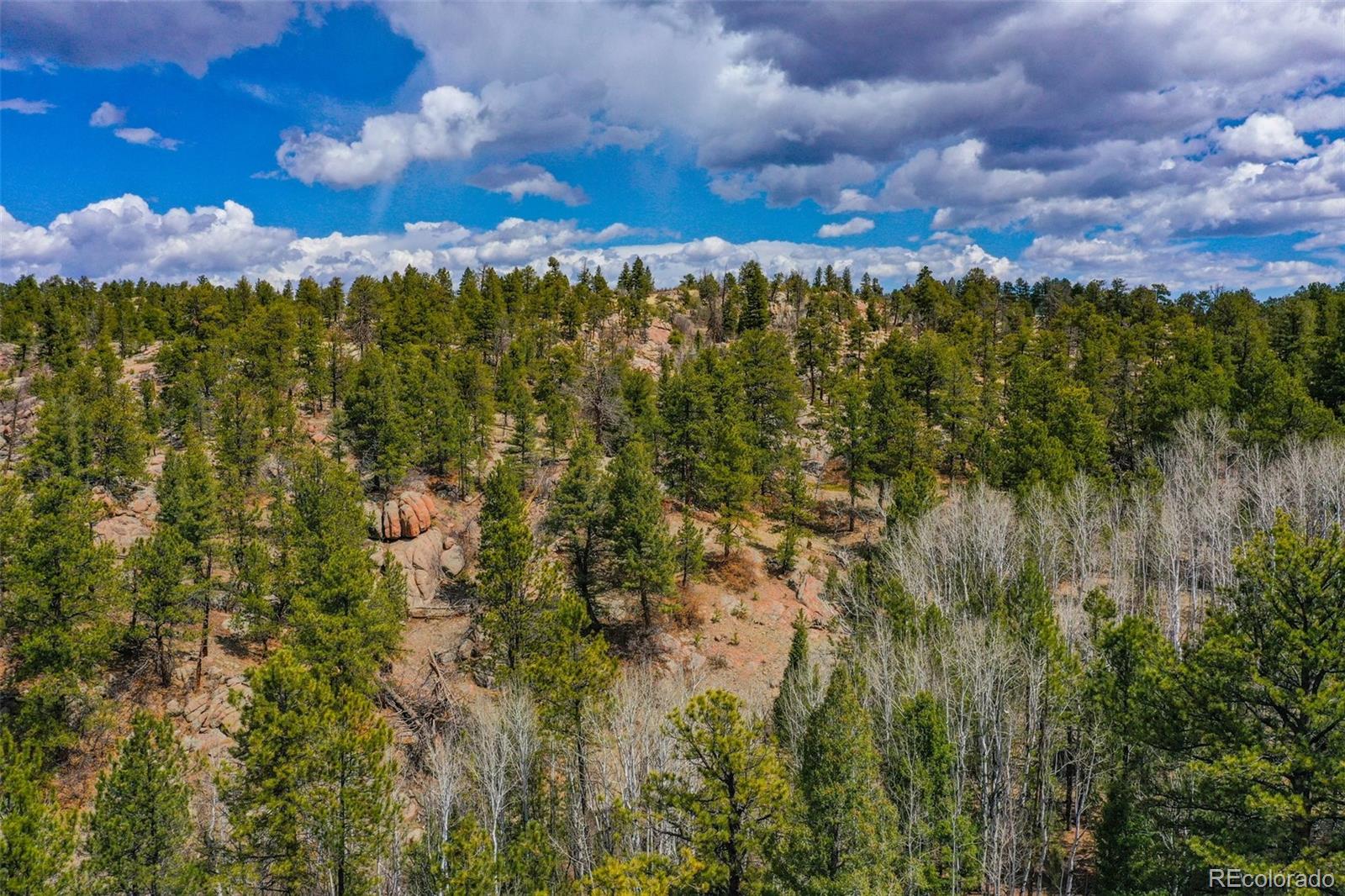 487 Pike View Lane Florissant CO 80816