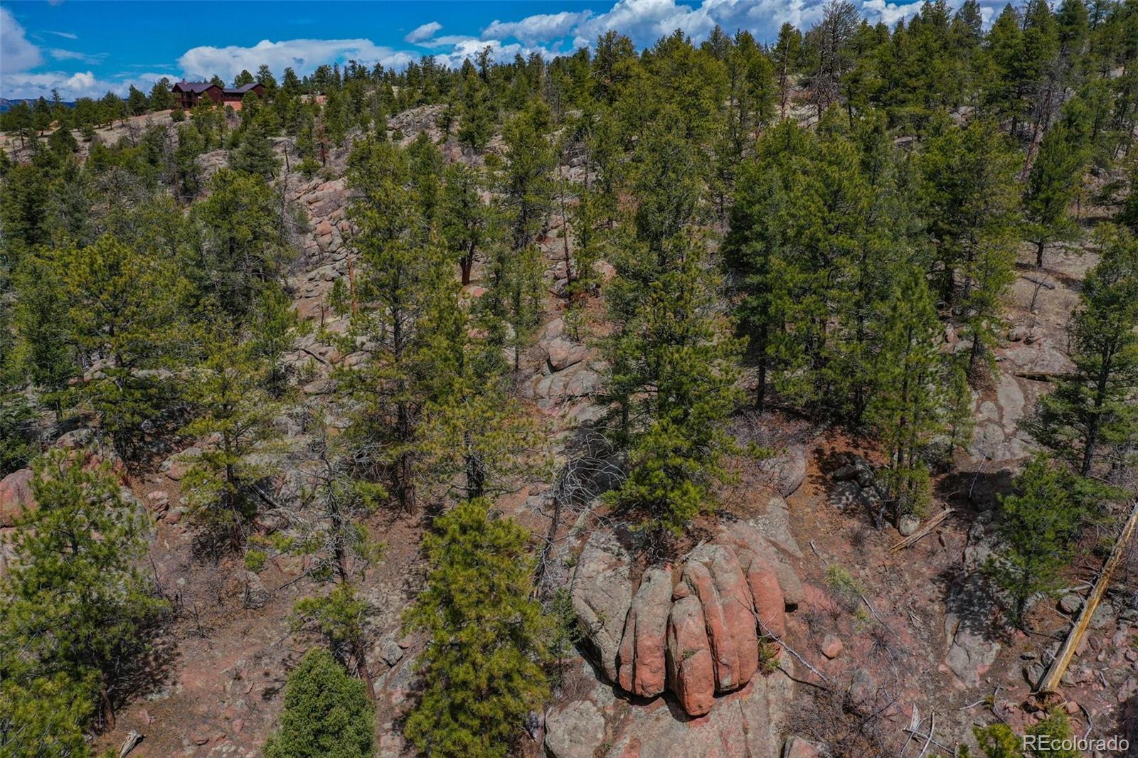 487 Pike View Lane Florissant CO 80816
