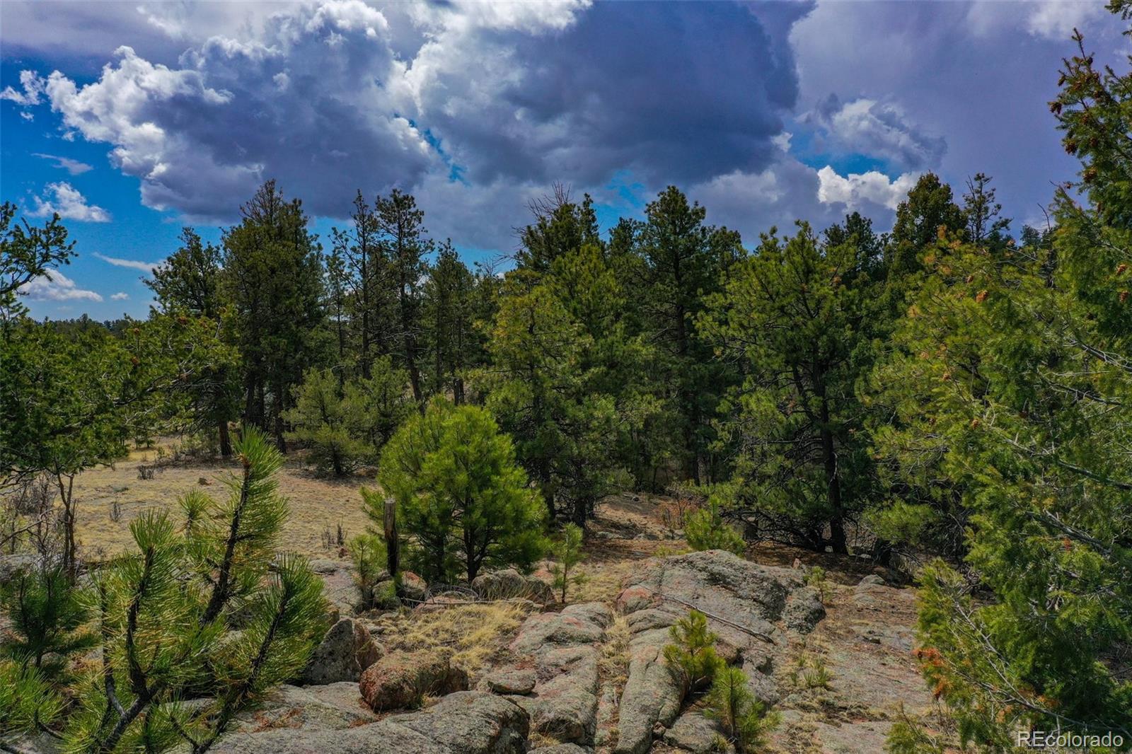 487 Pike View Lane Florissant CO 80816