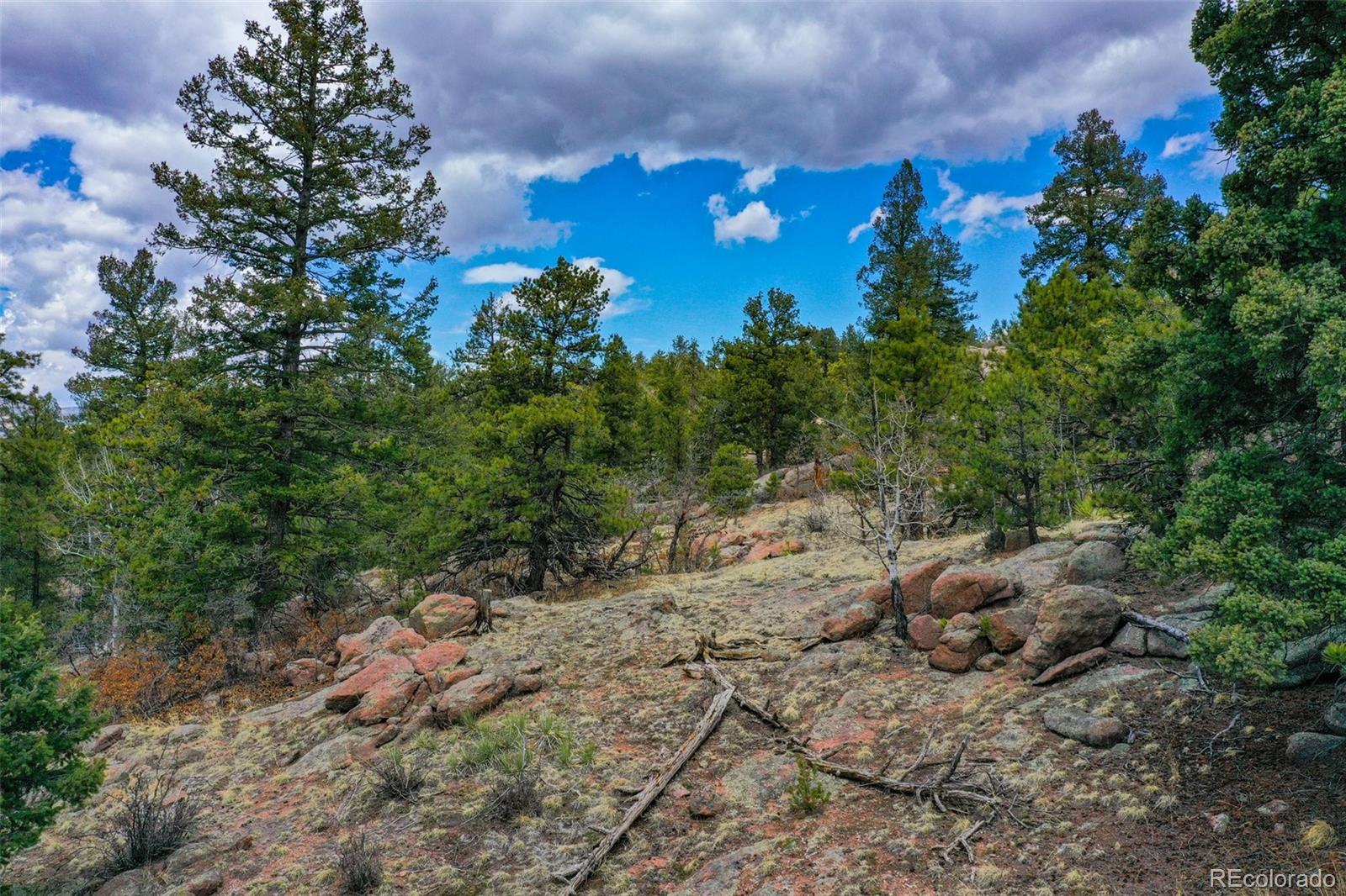 487 Pike View Lane Florissant CO 80816