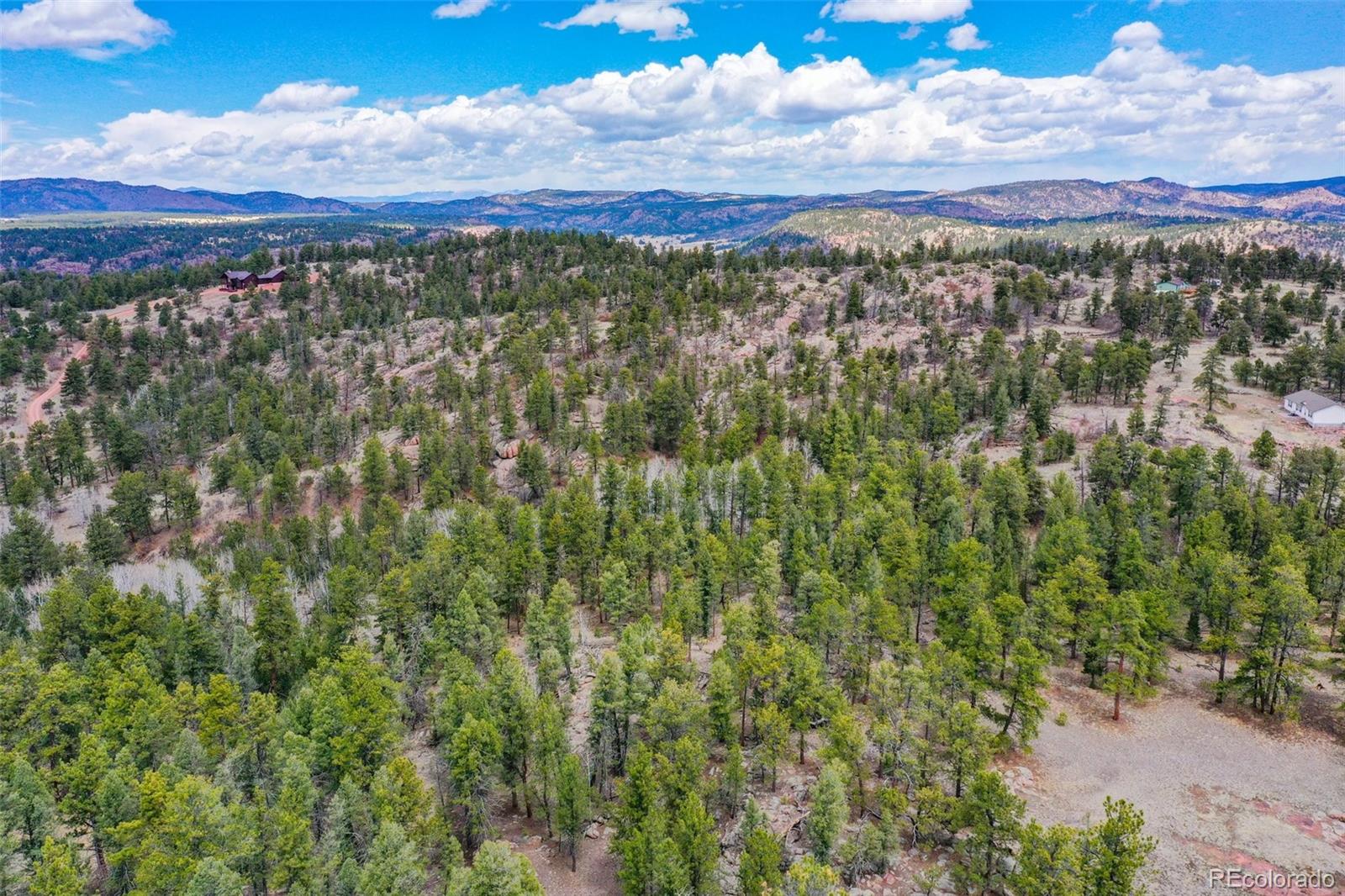 487 Pike View Lane Florissant CO 80816