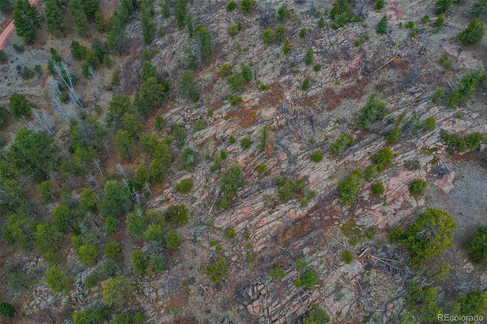 487 Pike View Lane Florissant CO 80816