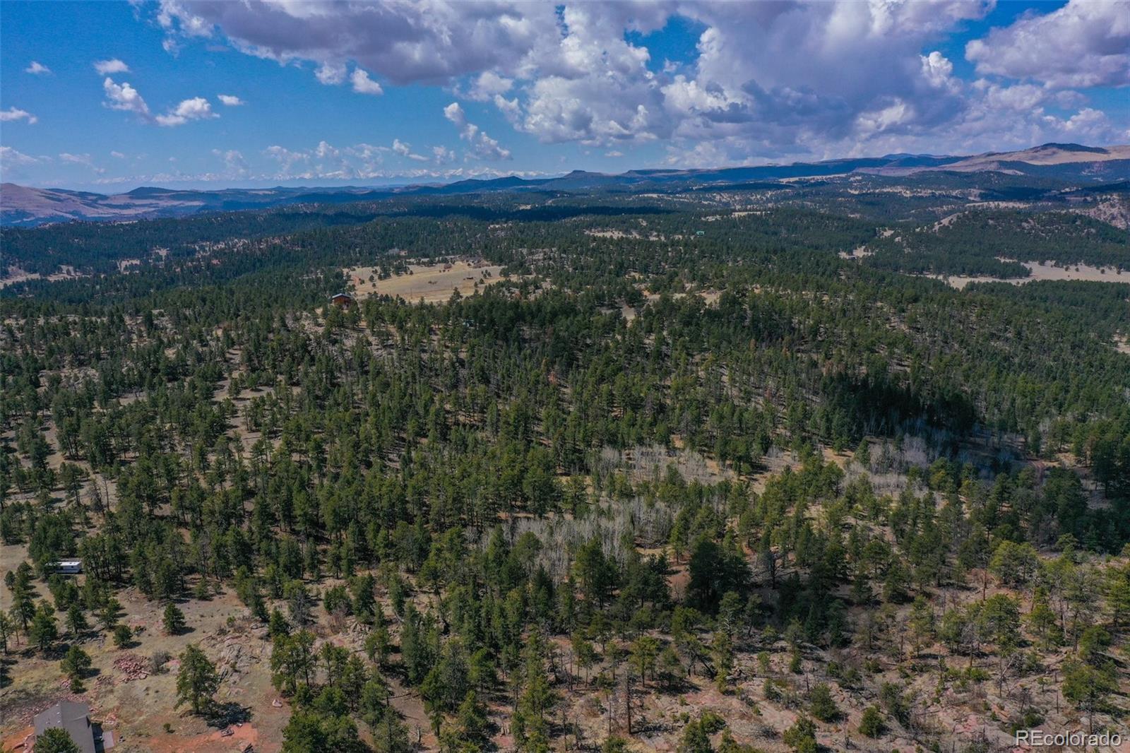 487 Pike View Lane Florissant CO 80816