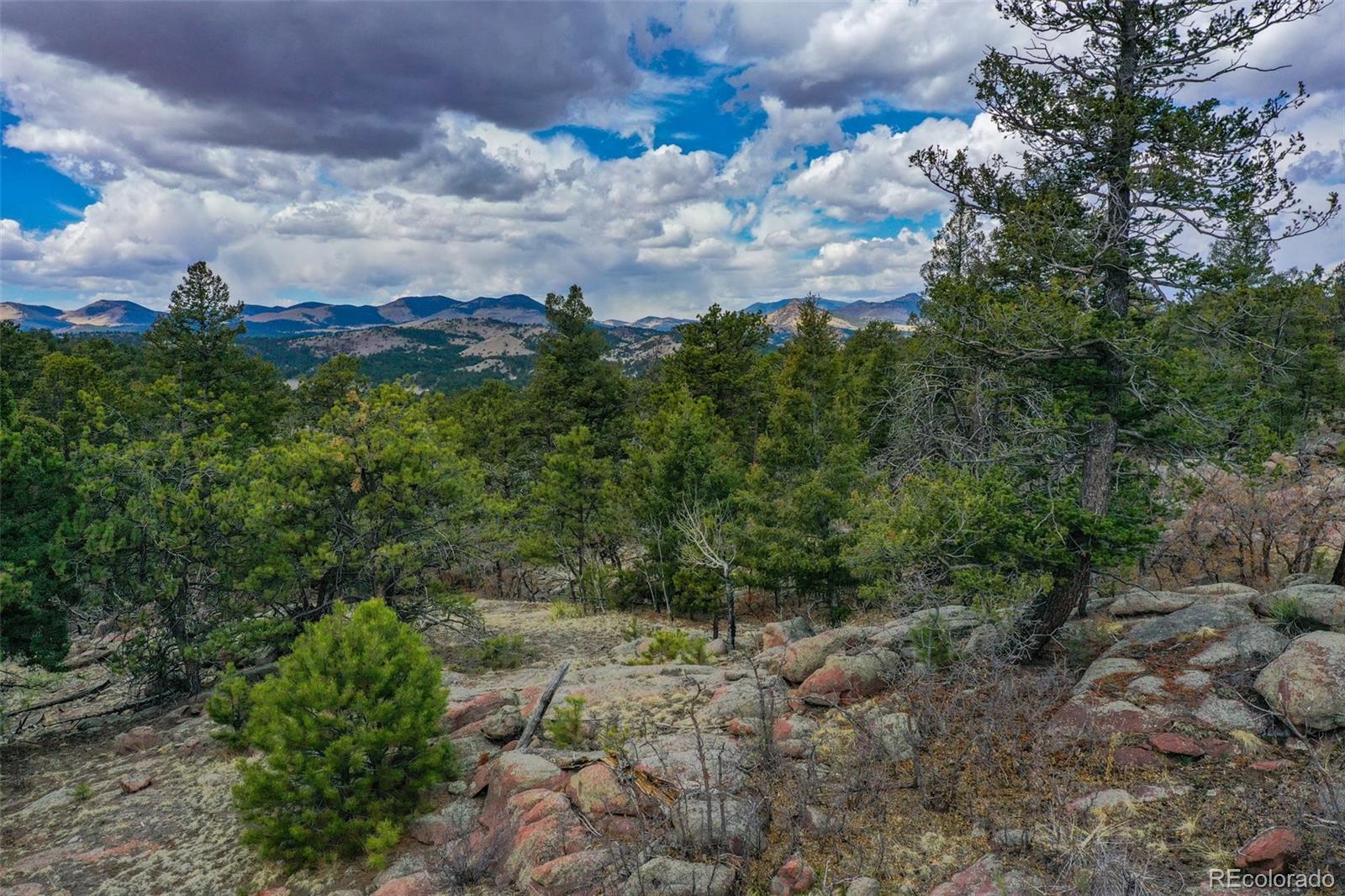 487 Pike View Lane Florissant CO 80816