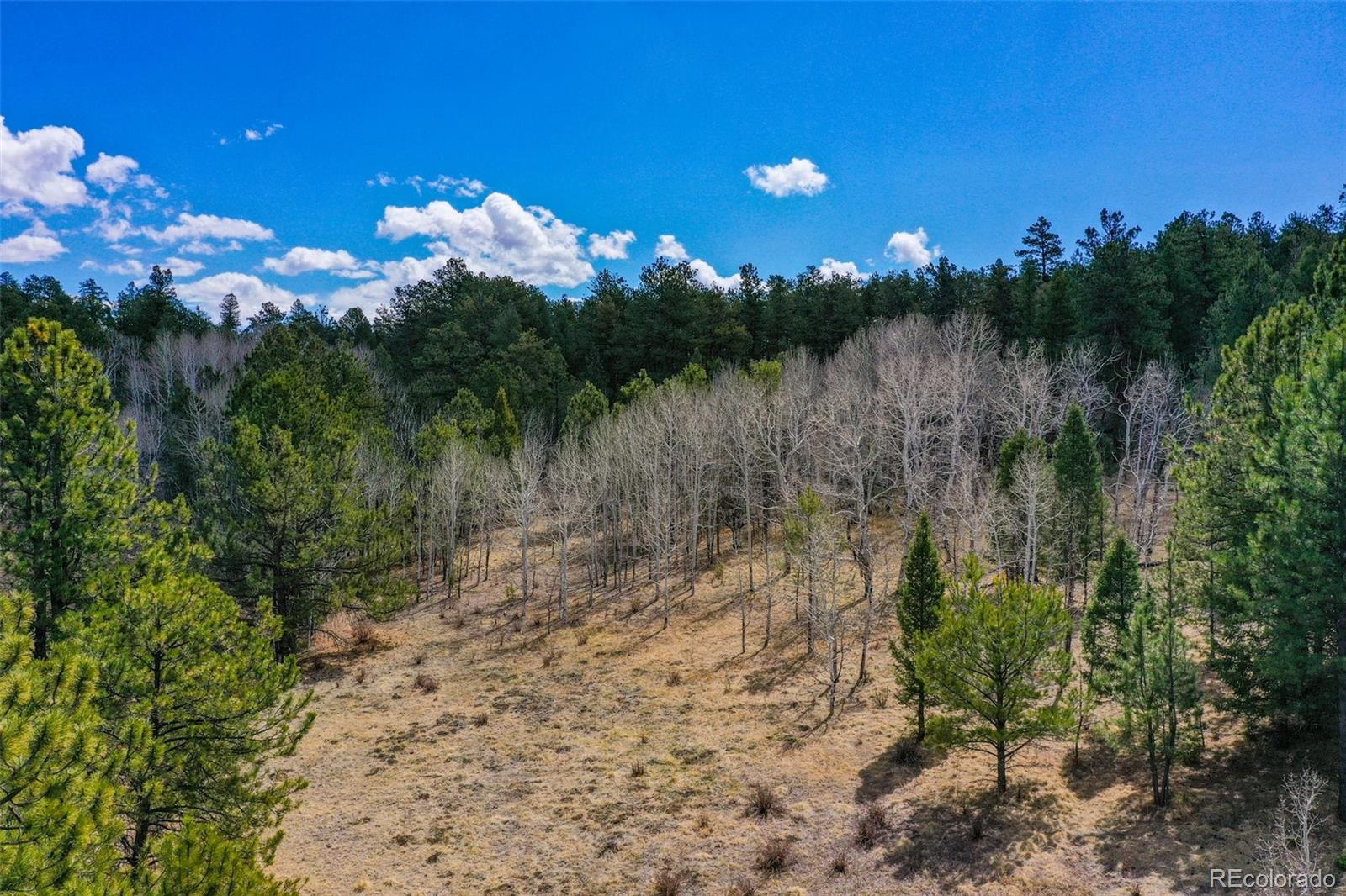 487 Pike View Lane Florissant CO 80816