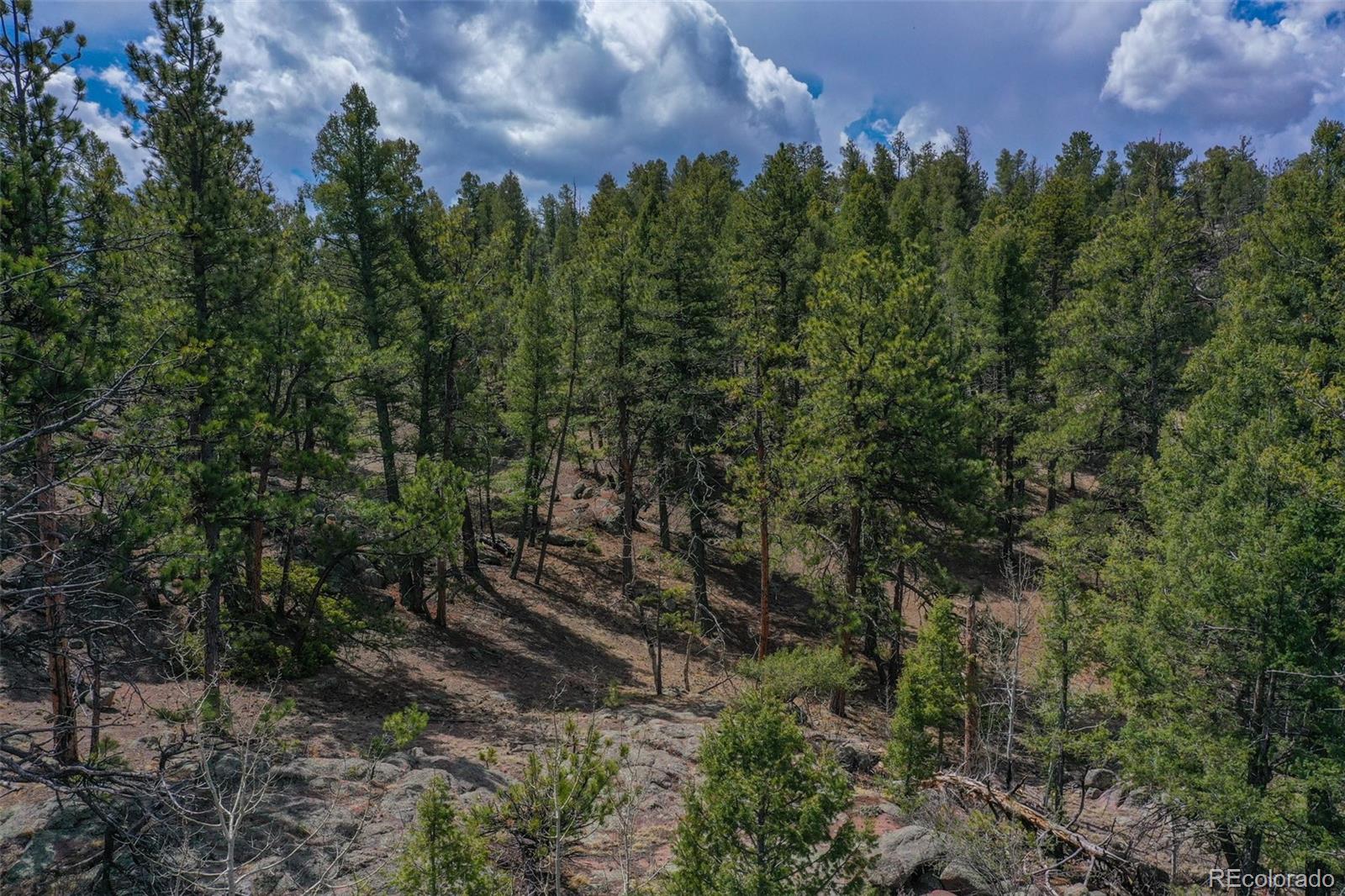 487 Pike View Lane Florissant CO 80816