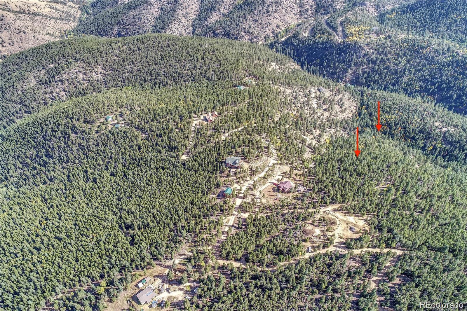 111 Lizzie Claim Idaho Springs CO 80452