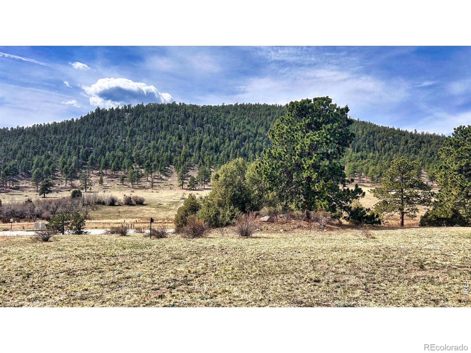 342 Meadowview Drive Estes Park CO 80517