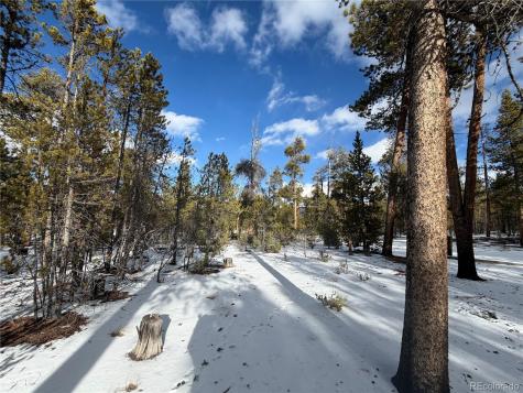 379 Peak View Drive Leadville CO 80461
