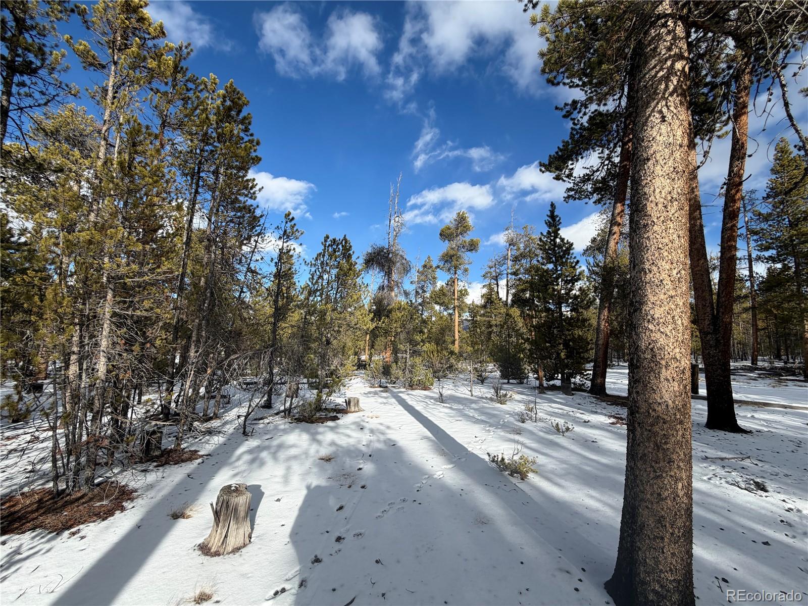 379 Peak View Drive Leadville CO 80461