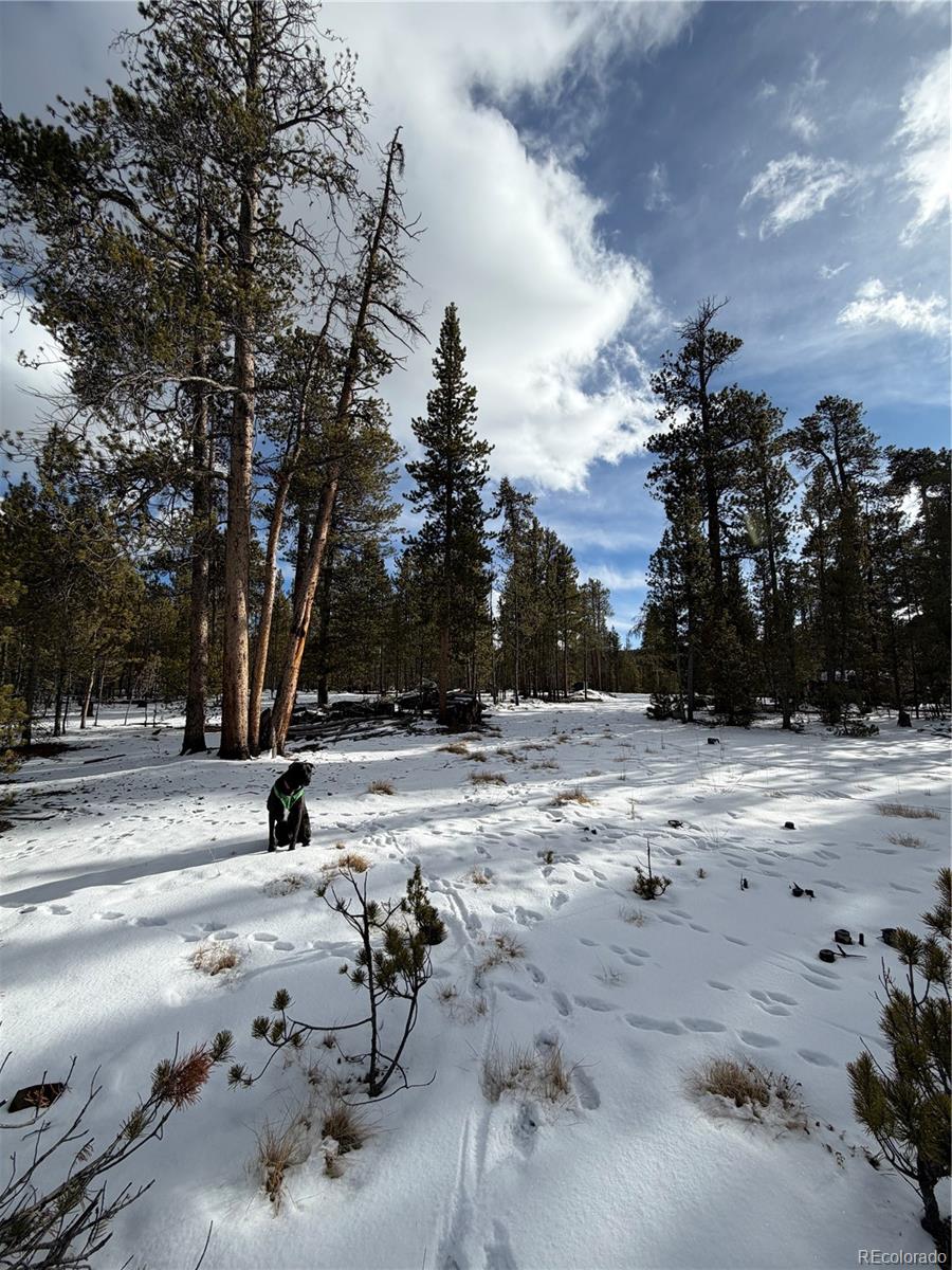 379 Peak View Drive Leadville CO 80461