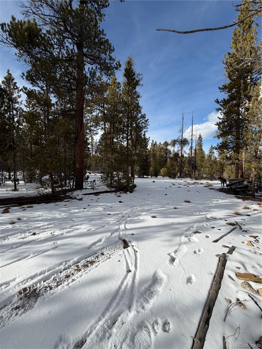 379 Peak View Drive Leadville CO 80461