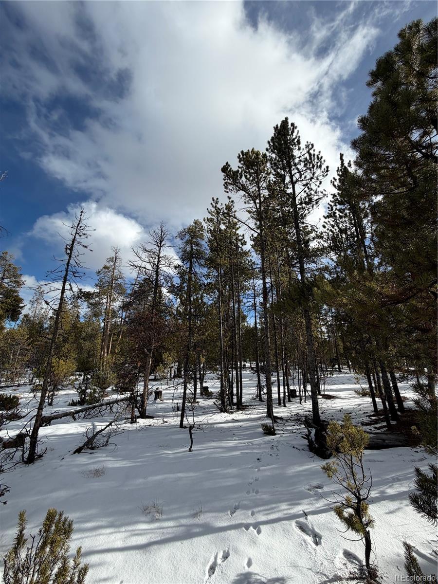 379 Peak View Drive Leadville CO 80461