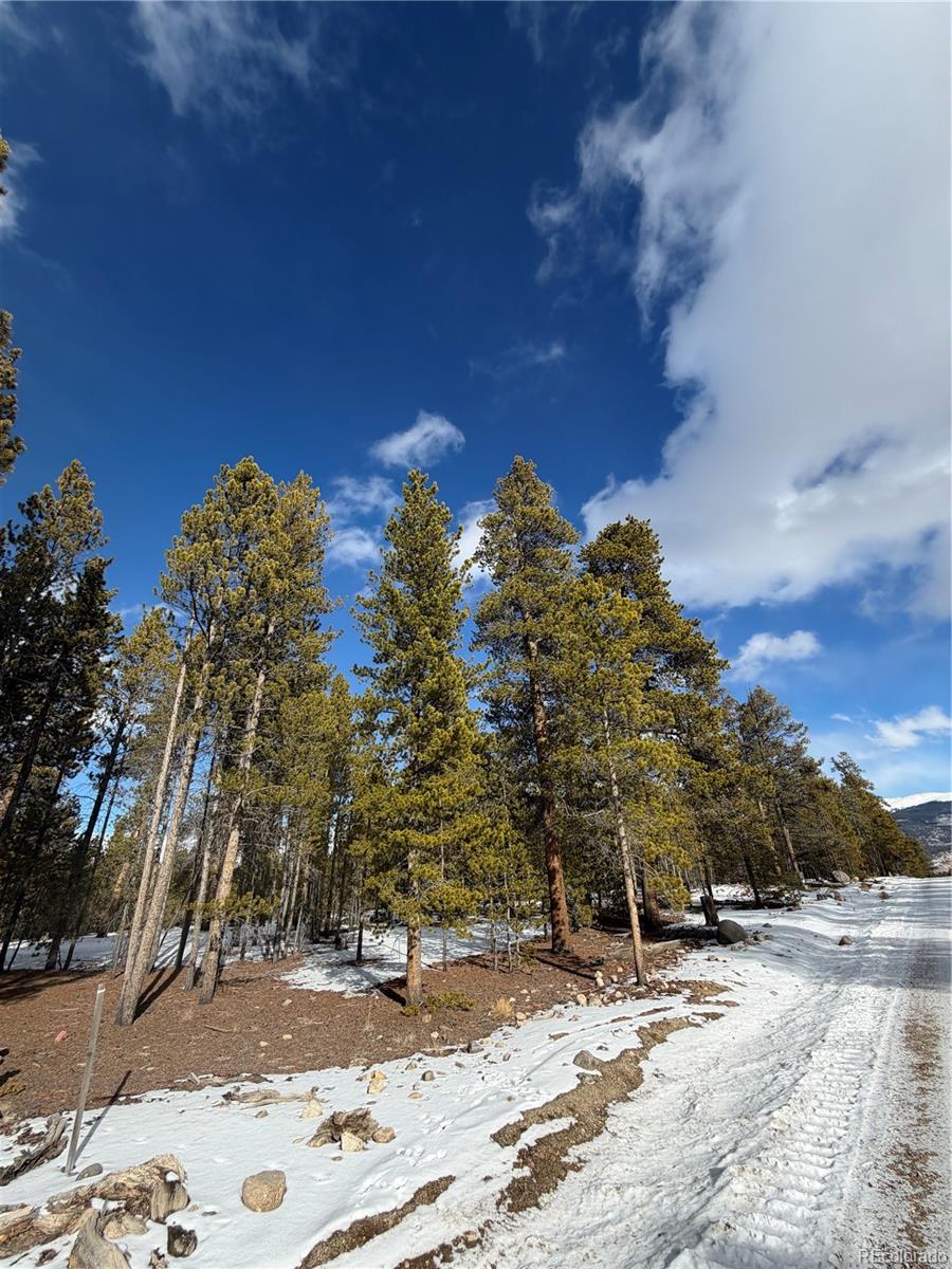 379 Peak View Drive Leadville CO 80461
