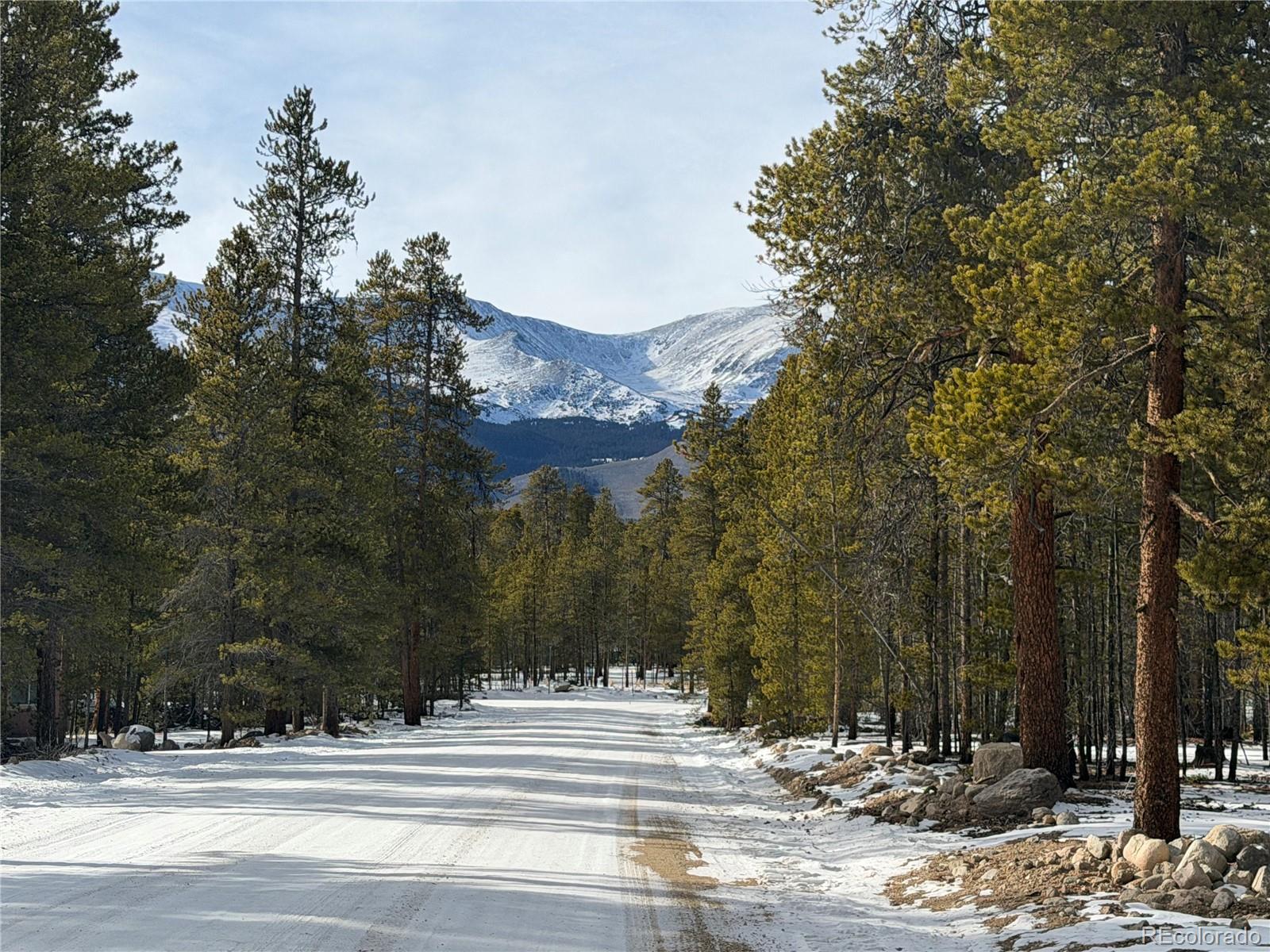 379 Peak View Drive Leadville CO 80461