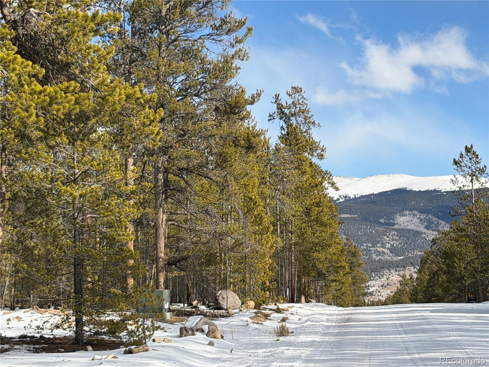 379 Peak View Drive Leadville CO 80461