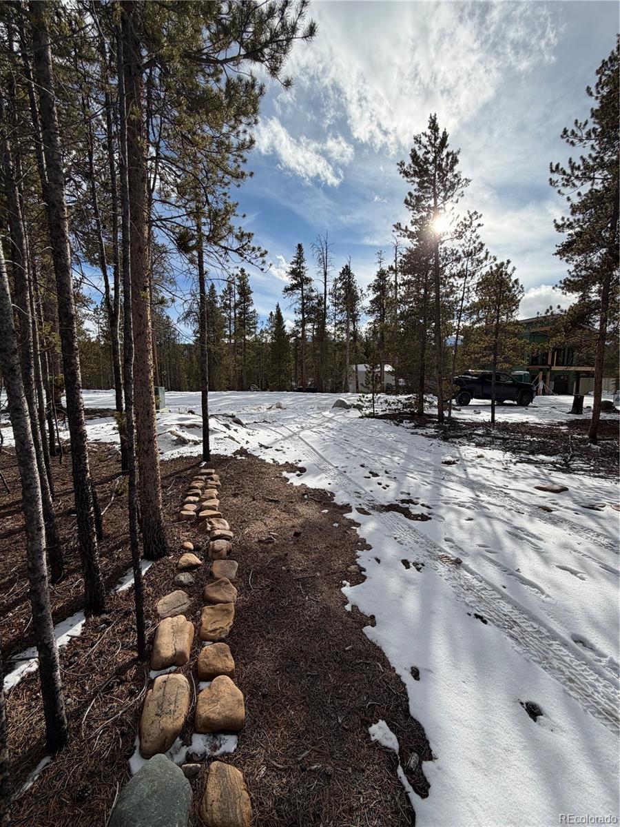 379 Peak View Drive Leadville CO 80461