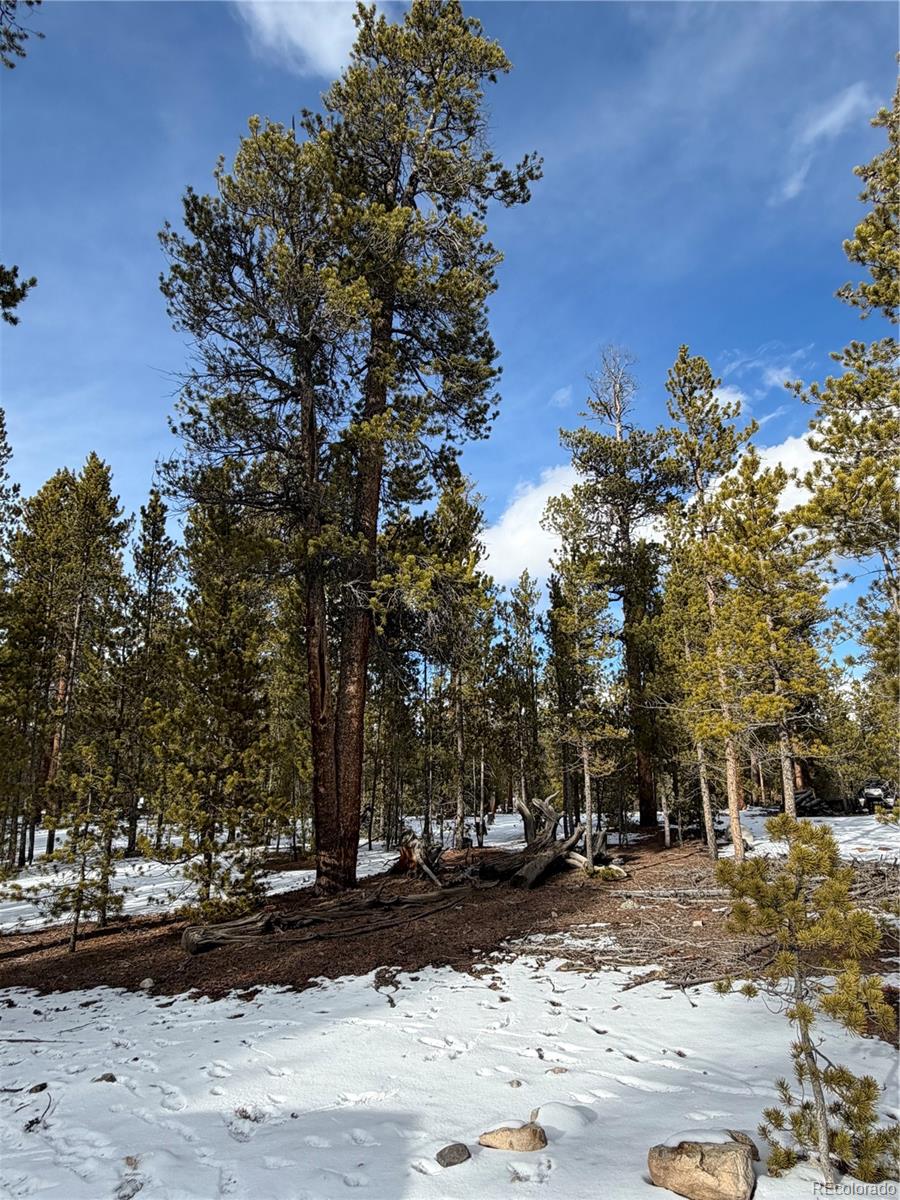 379 Peak View Drive Leadville CO 80461