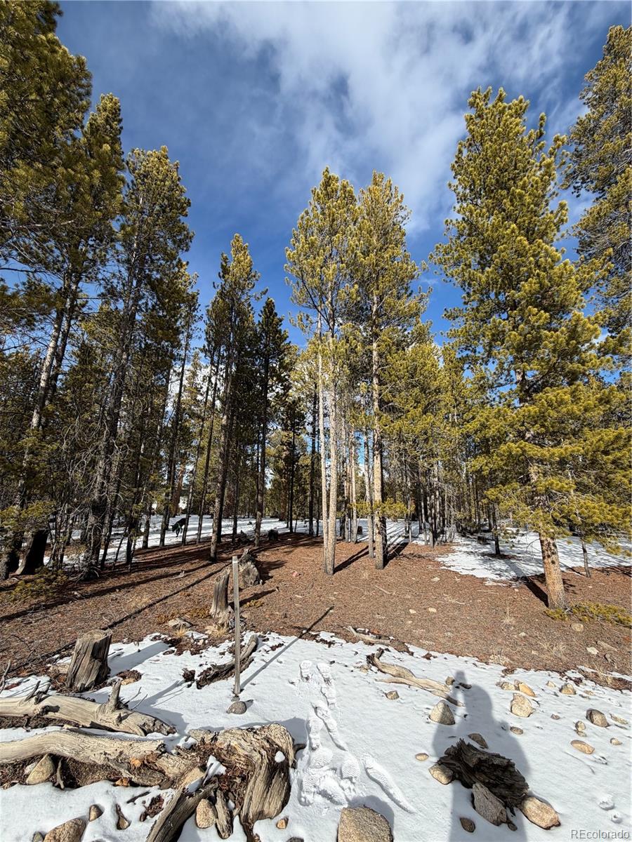 379 Peak View Drive Leadville CO 80461