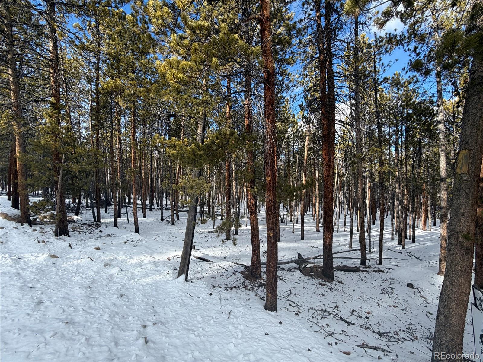 379 Peak View Drive Leadville CO 80461