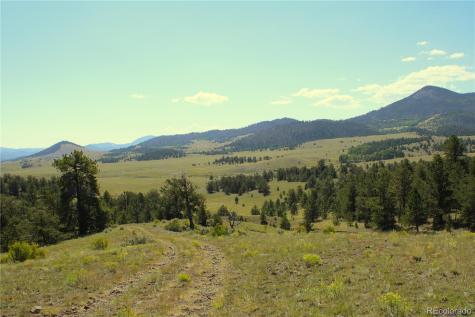 State 9 Highway Guffey CO 80820
