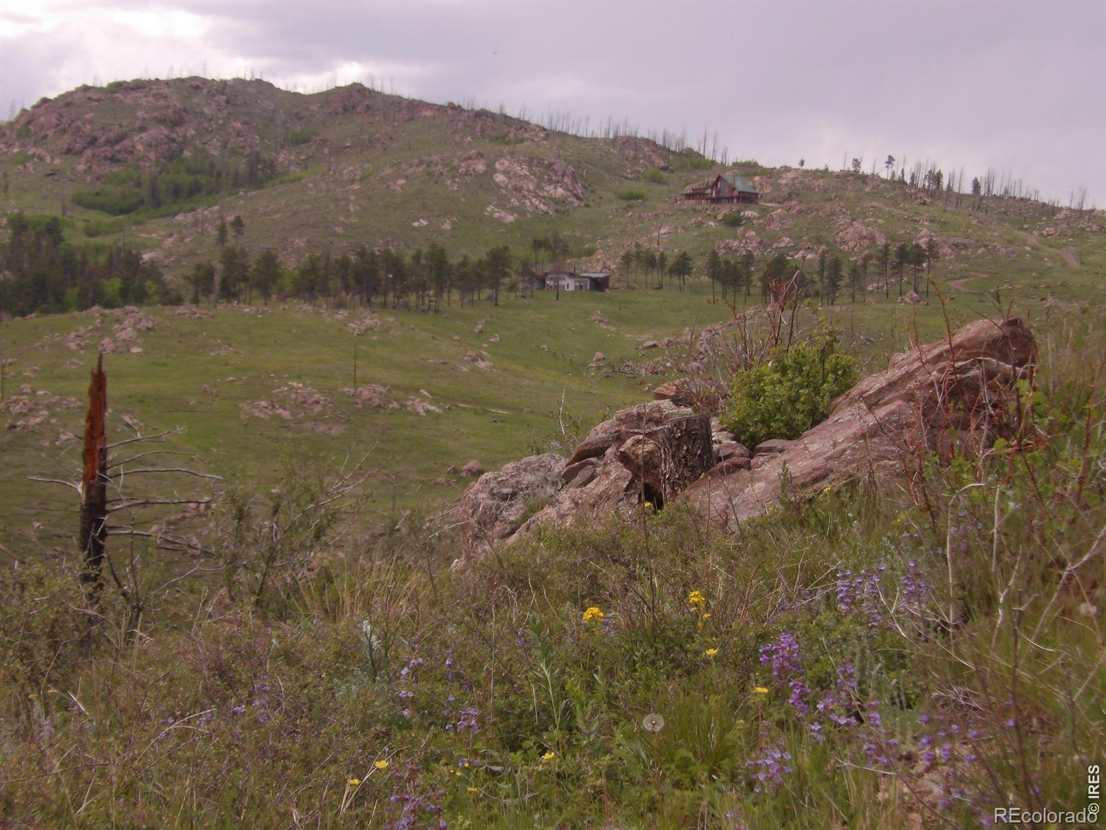 3434 Davis Ranch Road Bellvue CO 80512