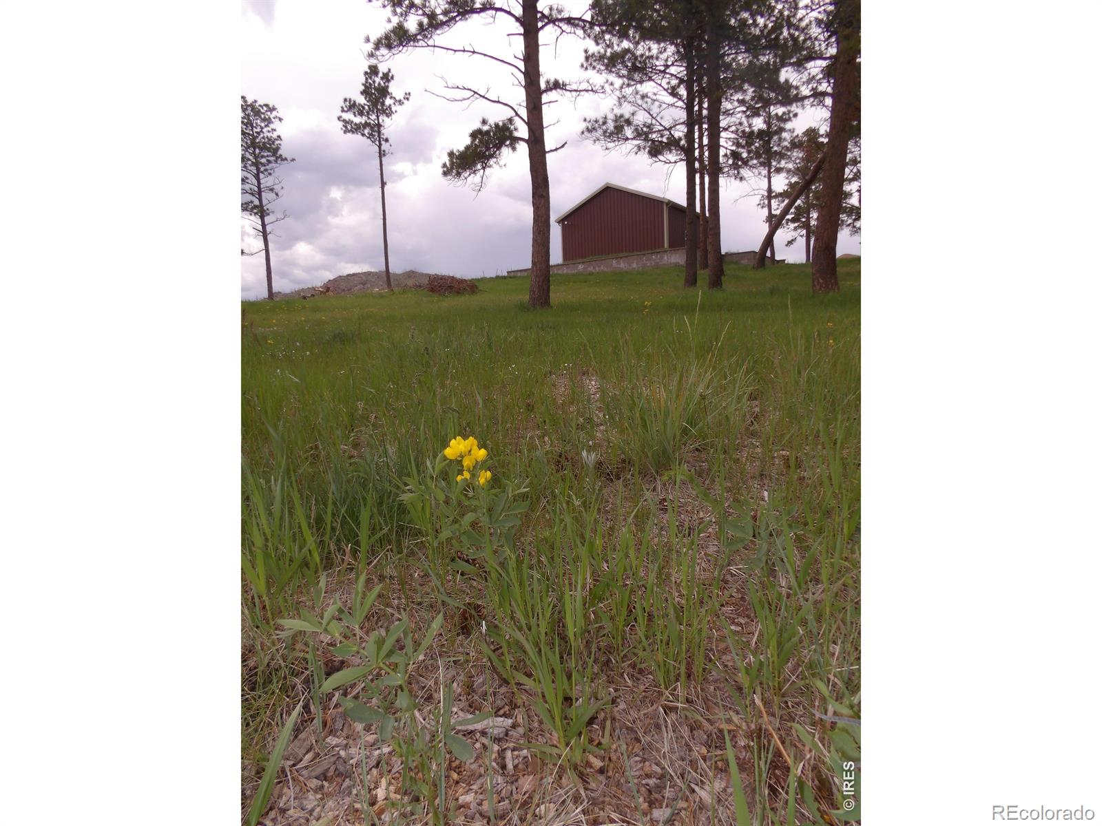 3434 Davis Ranch Road Bellvue CO 80512