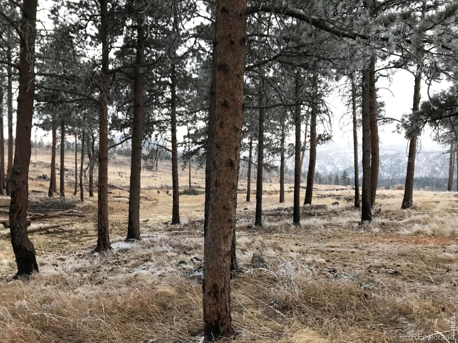 3434 Davis Ranch Road Bellvue CO 80512