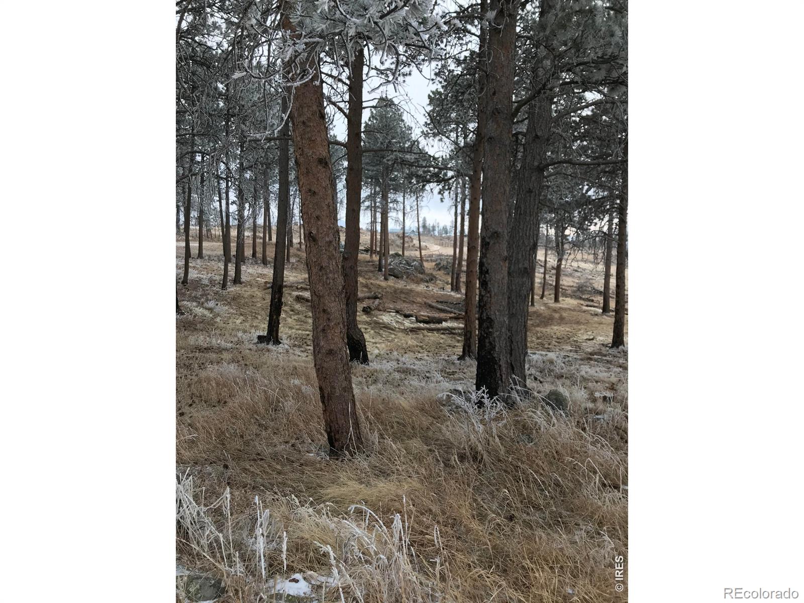 3434 Davis Ranch Road Bellvue CO 80512